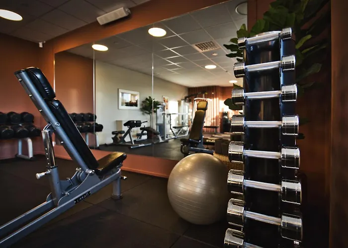 Family Hotel: Hotel Birger Jarl