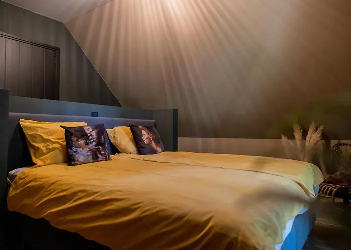 Vakantieverhuur: midden in de bossen bij schapendrift 29