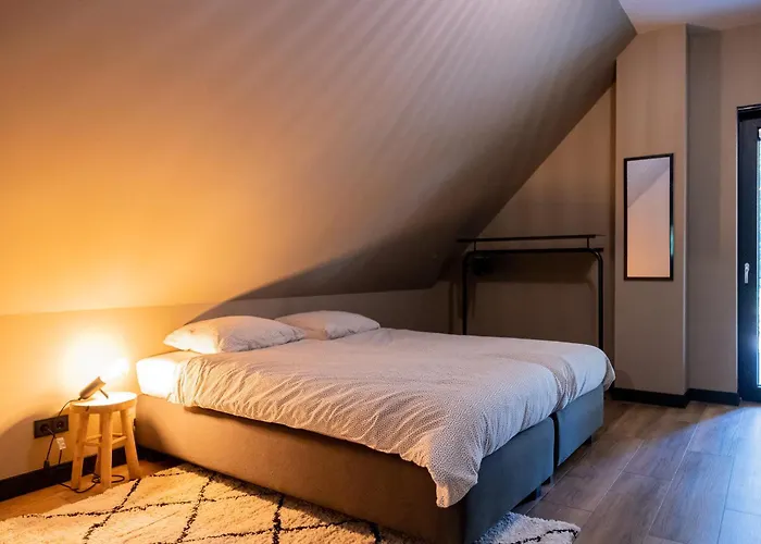 Vakantieverhuur: midden in de bossen bij schapendrift 29