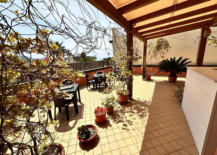  B&B Dora 2, 0
