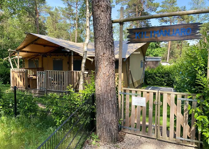 Chalet&Glamping Ons Plekje In Het Bos