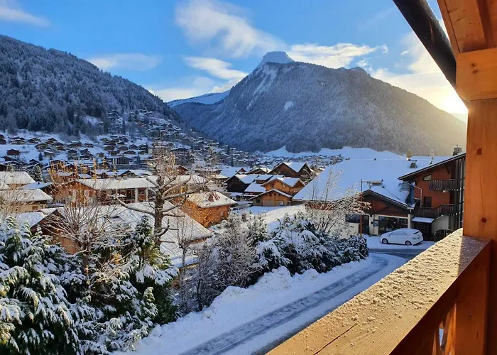 Chalet Delphinette Spa Privatif Morzine