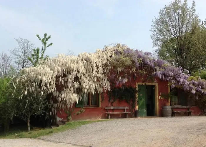 Cascina Degli Ulivi