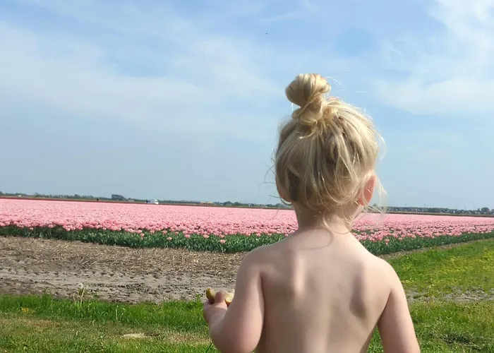 Hotel dichtbij College: Empty Spot On Grass Camping The Tulip No Beds