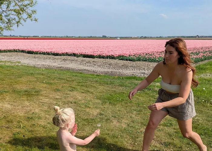 Hotel dichtbij College: Empty Spot On Grass Camping The Tulip No Beds