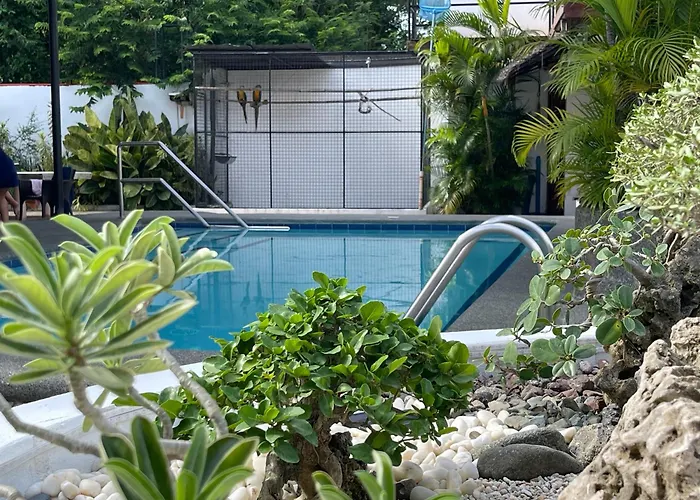 In Luxury hotels Parrot Moalboal