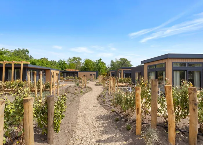 Beachvibe huisje met zandtuin vlakbij zee VP091