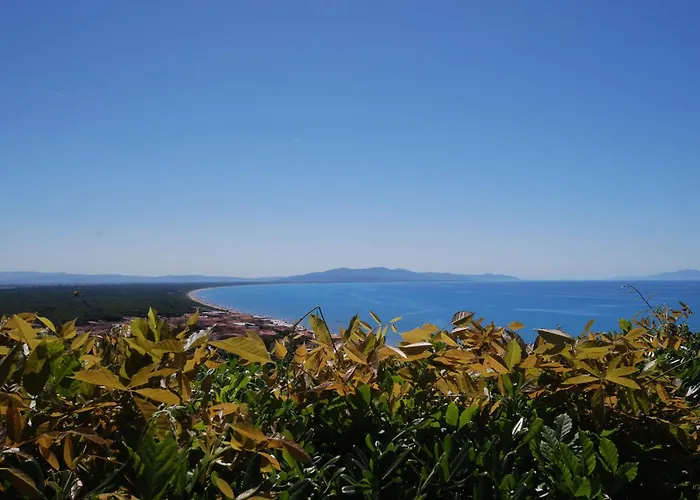  Podere Il Leccio