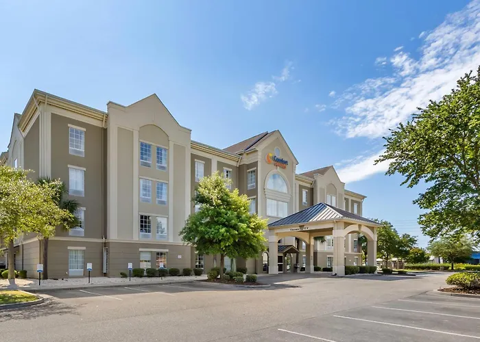 Airport Hotel: Comfort Suites Myrtle Beach Central