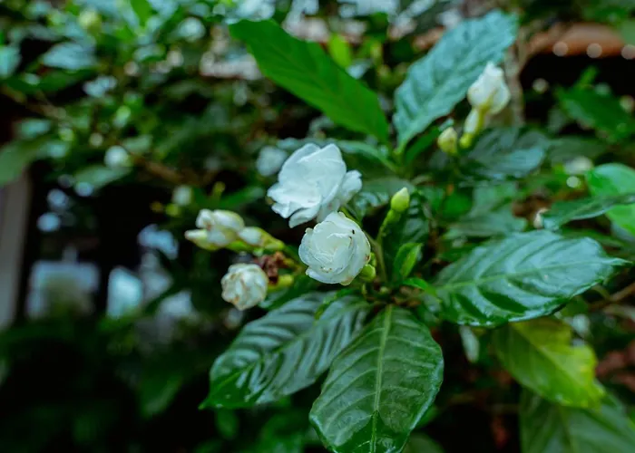 Central hotel: Central Blanche Residence