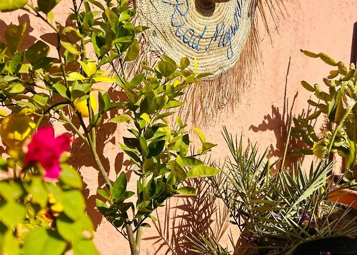  Riad Majwril
