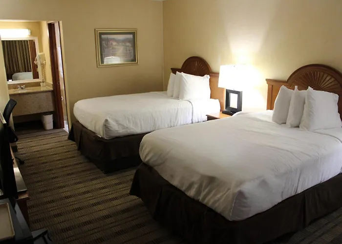 Motel: Rodeway Inn