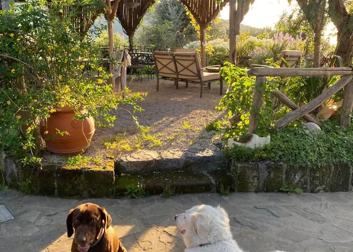 Agriturismo L'Olivara