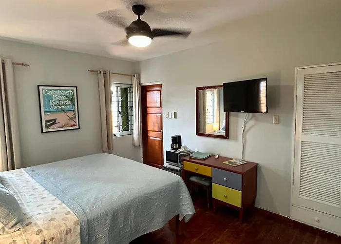 Blue Orchid B&B
