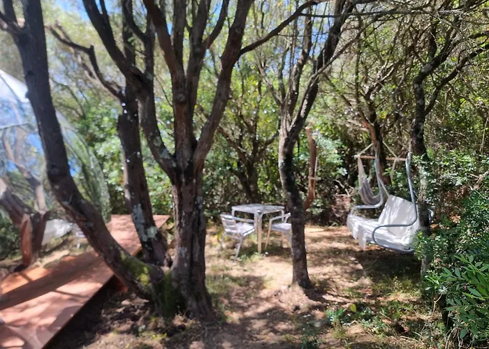 Hotel: Aldo Countryside