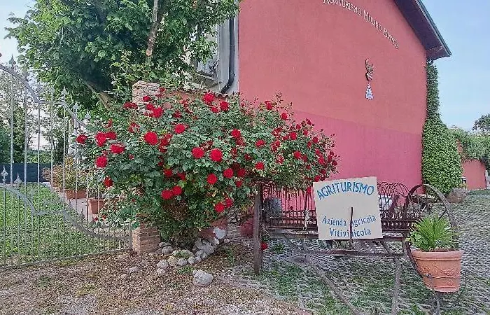 Agriturismo Mulino Bianco