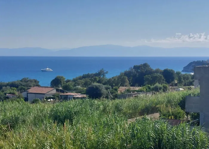 Albergo centrale: Blue Marine - Free Parking