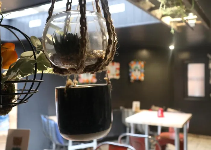 Cheap hotel: The Albert Hotel