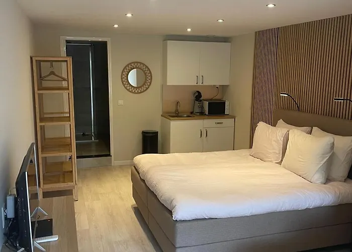  Studio Alexander With Private Indoor Parking