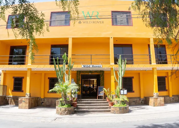 Wild Rover Huacachina