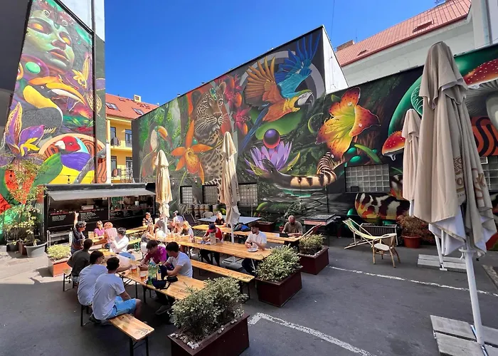 Drunken Monkey Hostel