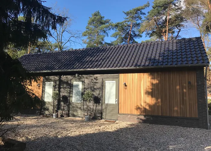 Forrest Suites