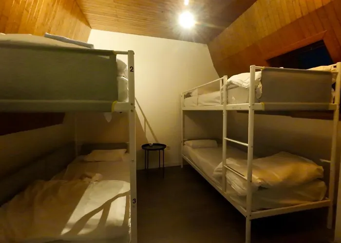 Dolfijn Hostel