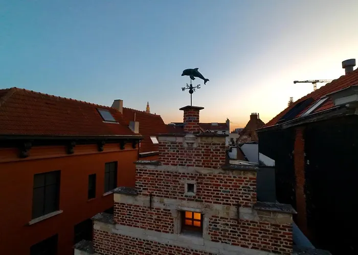Dolfijn Hostel
