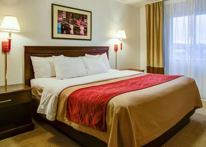 Hotel near College: Quality Inn Florence