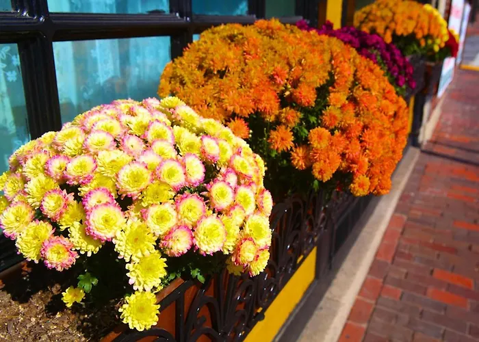 Inn At St John Portland In-Town