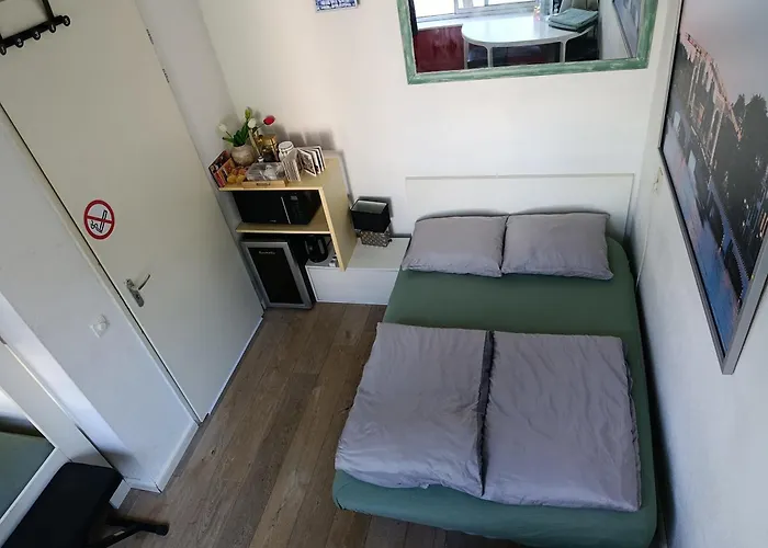 All You Need, A Comfy Place