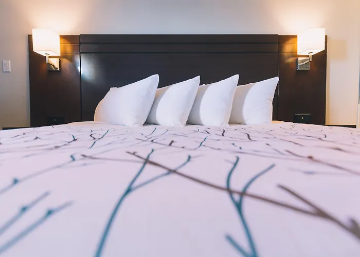 Family Hotel: Service Plus Inns And Suites