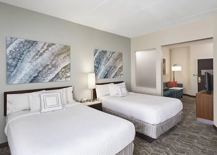 Luxury hotel only: Springhill Suites By Marriott Chicago Schaumburg/Woodfield Mall
