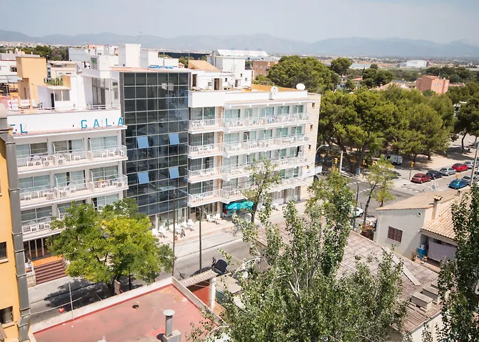 Amic Gala