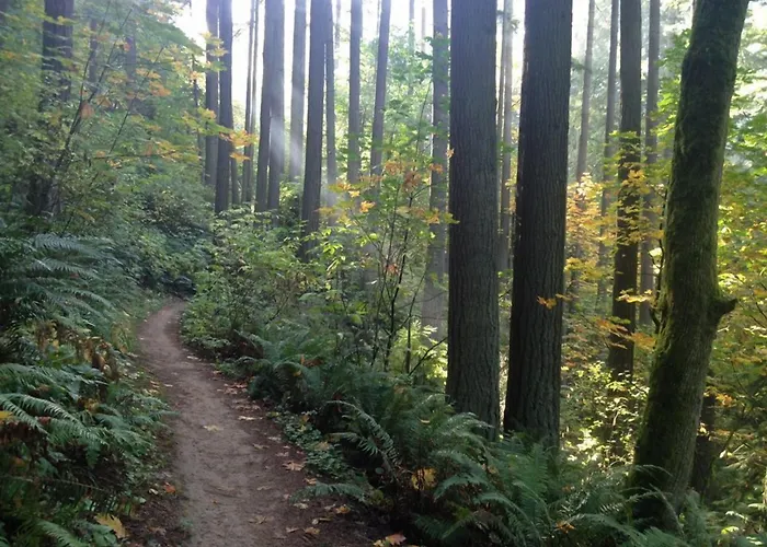 Self catering: Inn At Northrup Station