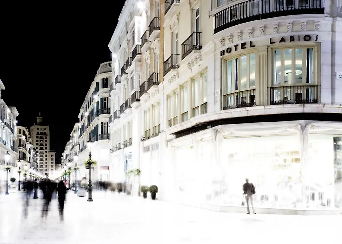 Hotel con vista: Hotel Larios Málaga