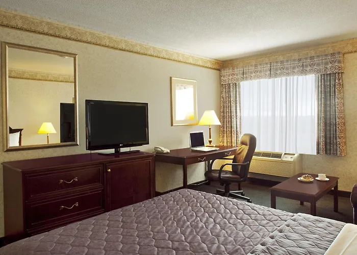 Stay Inn
