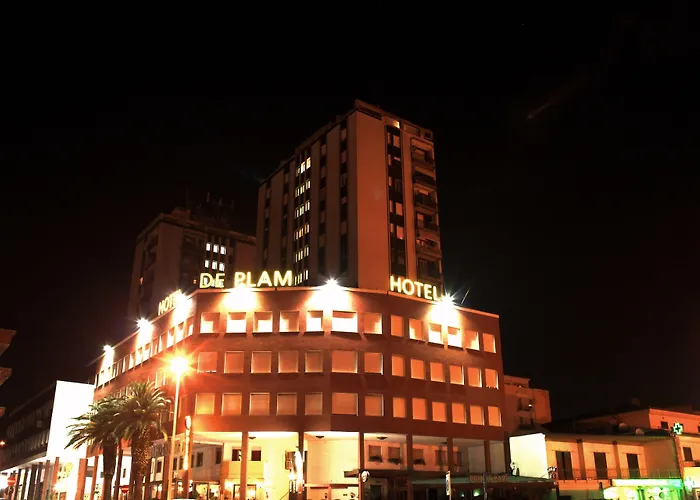 Hotel: Hotel De Plam