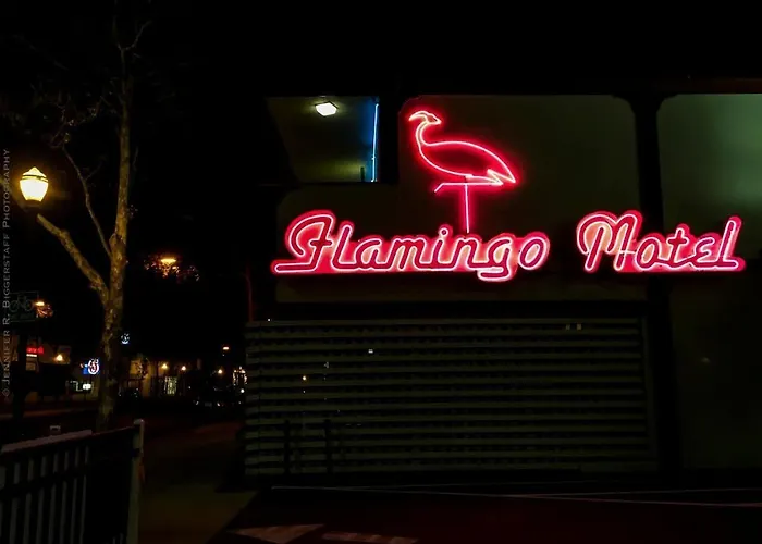 The Flamingo Motel San Jose