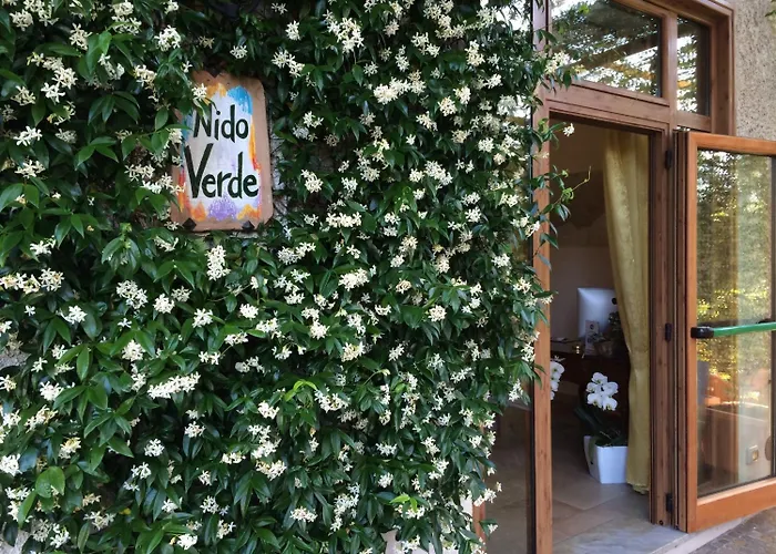 Hotel familiare: Nido Verde
