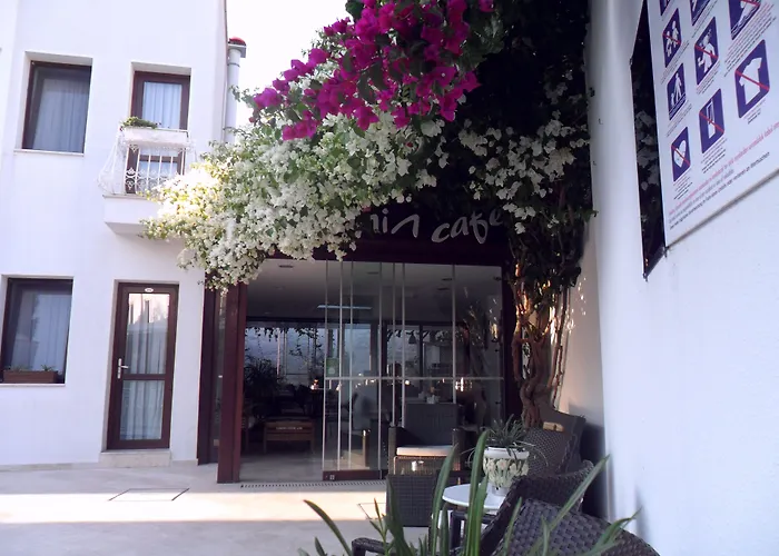 Asmin Bodrum