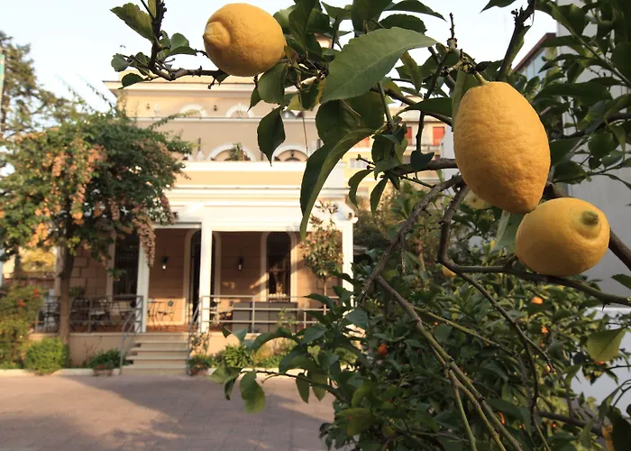 Hotel 3 stelle: Villa Pirandello