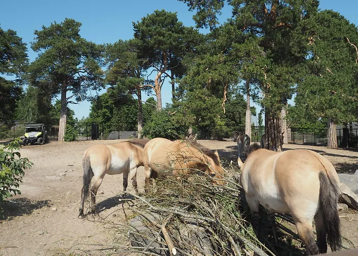 Hotel: Omena Hotel Helsinki Loennrotinkatu