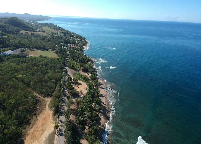 Casa Verde - Steps To The Beach, Pool, Restaurant & Bar