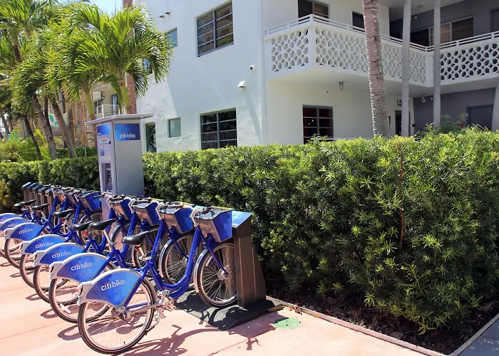 Beach Hotels Gaythering - Gay - All Adults Welcome