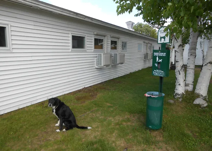Motels Top Notch Inn