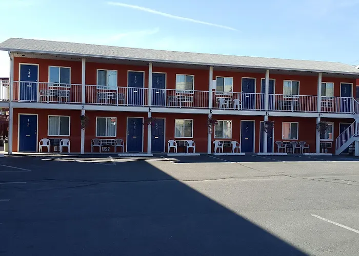 Hotel: Cactus Tree Inn