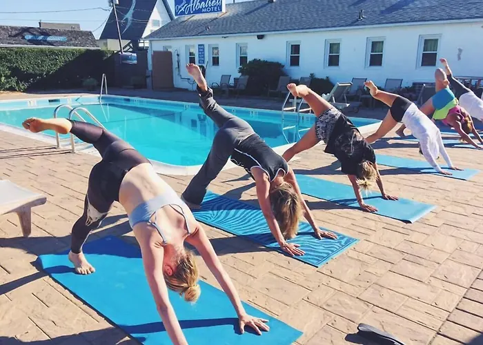 Motel: Daunts Albatross Motel