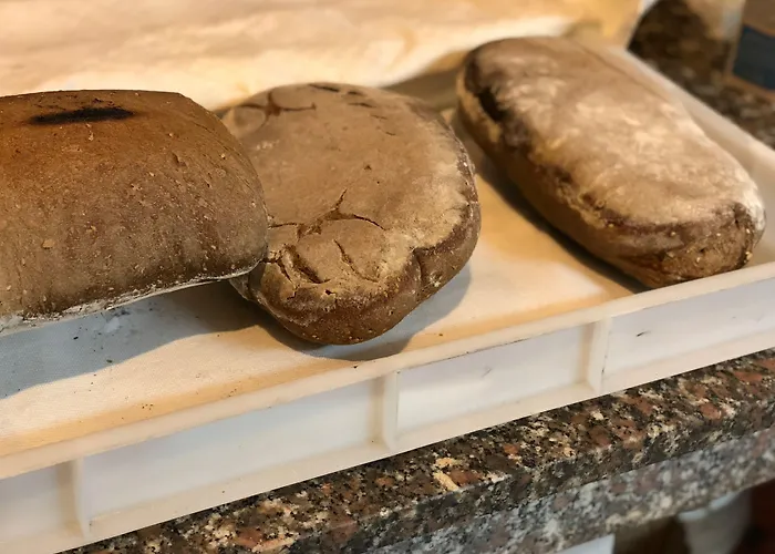 Apart-hotel: Villa Patrizia