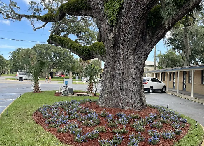 Cheap hotel: Castillo Inn